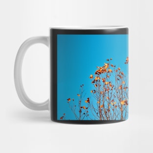 Bell Curve Mug